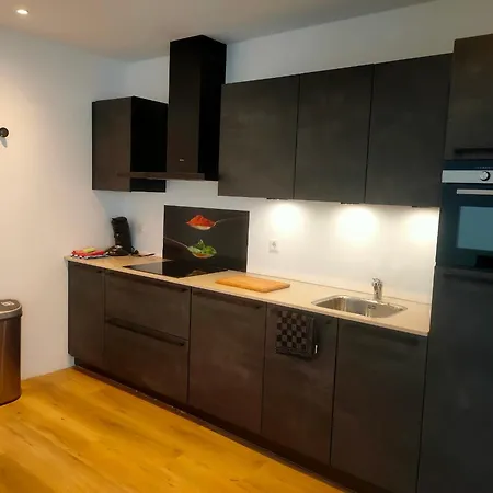 Nyaraló Sion House With Garden In The Center Close To The Sea And Amsterdam *