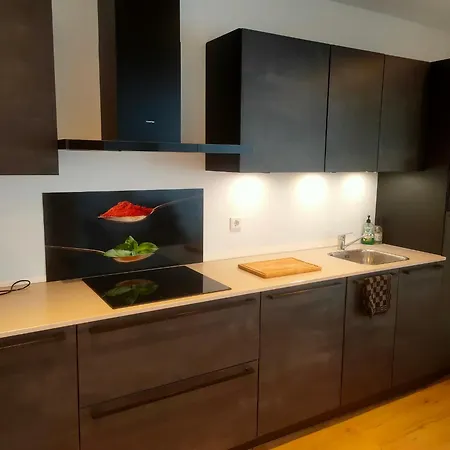 House With Garden In The Center Close To The Sea And Amsterdam